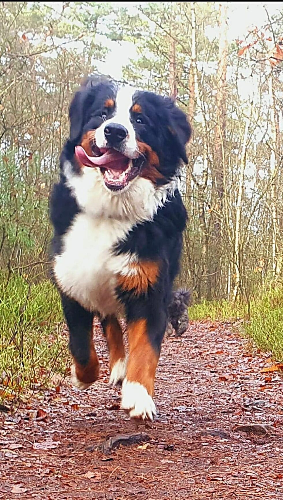 Sponsor onze ZorgAngel Rudolf | Charlottes Angels