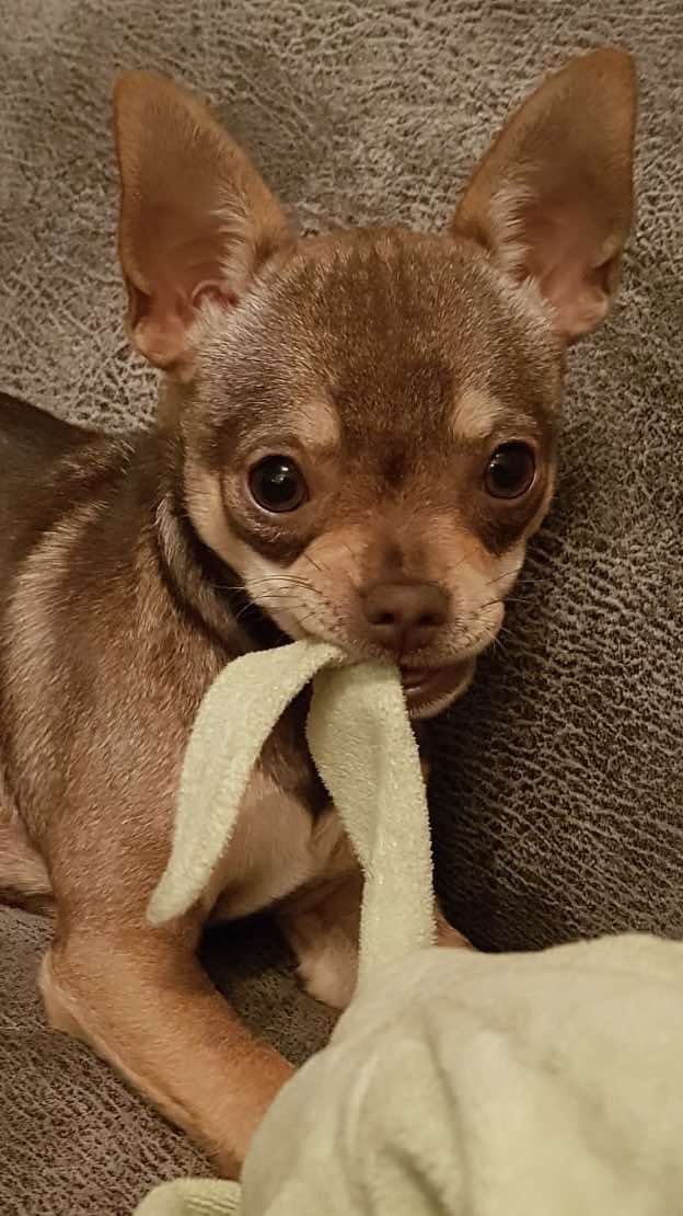 Zoe