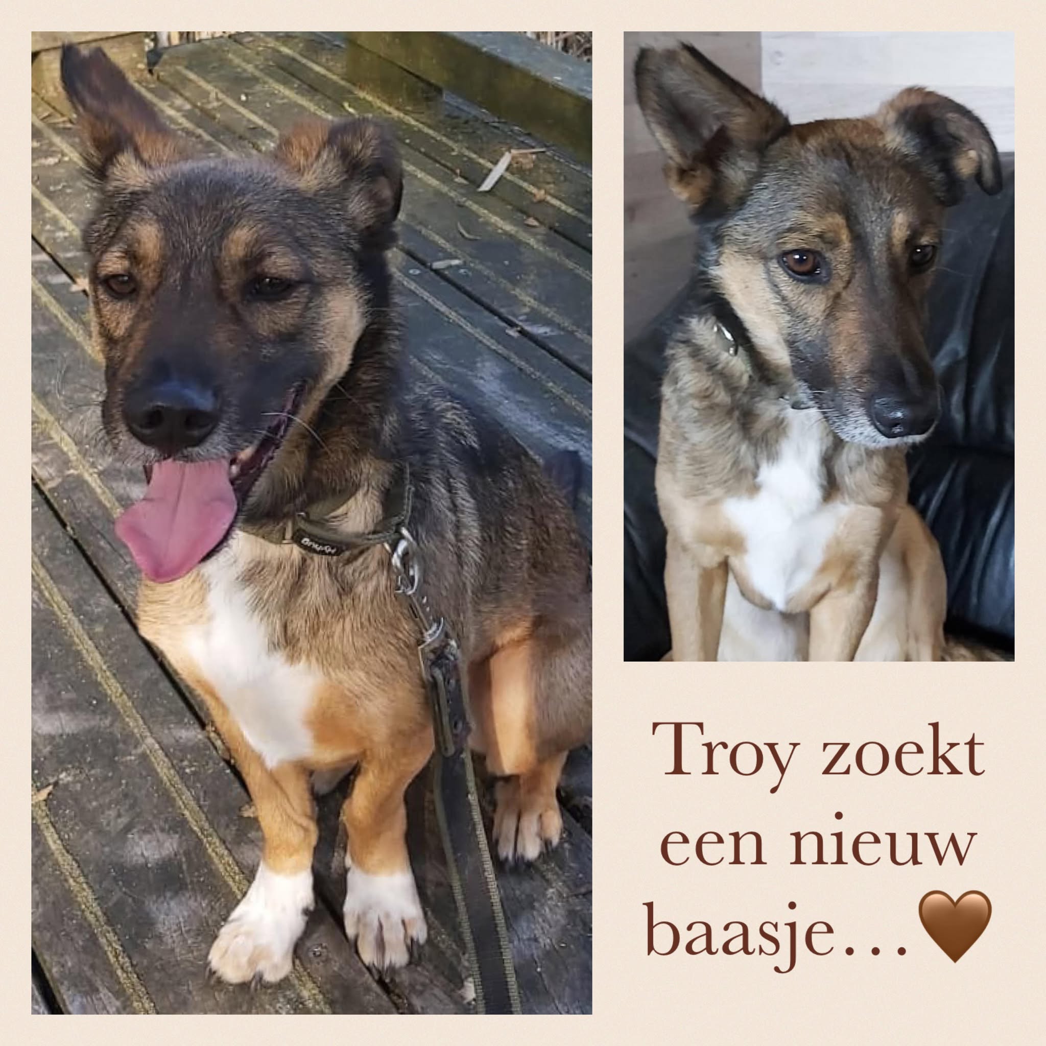 Troy