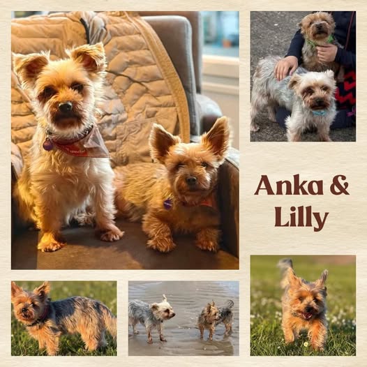 Anka en Lilly